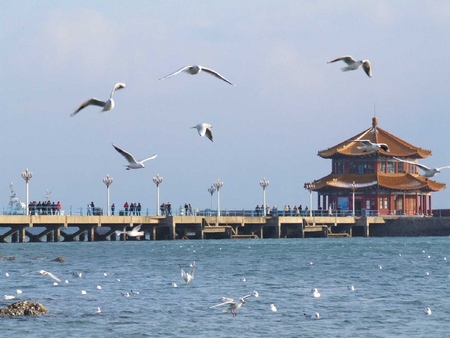 福建青島旅游|哪家公司有提供{gx}的青島市內嶗山游游私家游