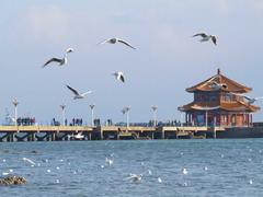 青島市內(nèi)一日哪家好——麗途假日提供優(yōu)質(zhì)青島市內(nèi)一日游服務(wù)