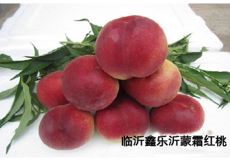 山東沂蒙霜紅桃基地面向全國預(yù)售開始了，價格優(yōu)惠，歡迎來電