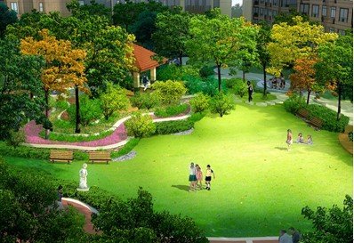 【熱購】巢湖草坪種植、巢湖草坪批發巢湖草坪品牌
