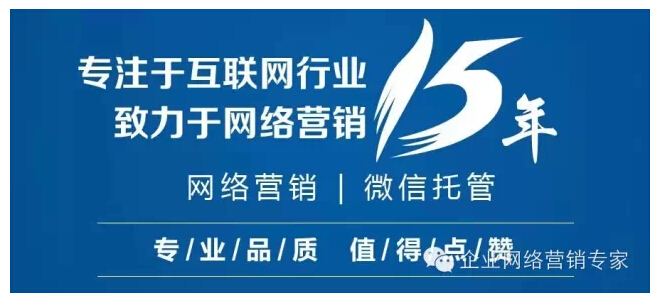 专业的营销型网站建设，伟创商务部是首要选择_深州网站排名