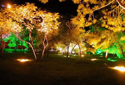 福建省九洲發展科技提供價格合理的LED夜景照明_LED夜景工程公司