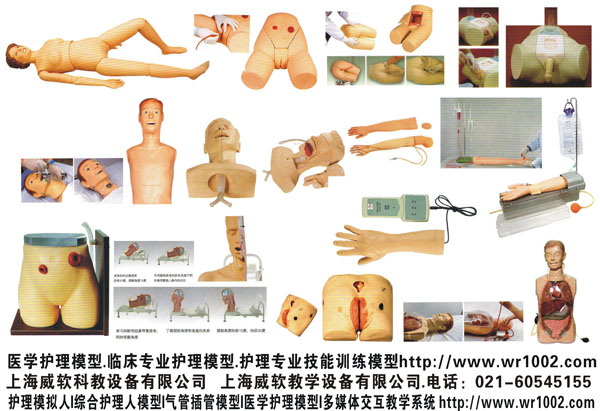 口腔?？朴?xùn)練模型.牙周病模型.仿真漢斯頭模.齒科技能教學(xué)系統(tǒng)