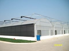 福建溫室大棚，福建口碑好的玻璃溫室大棚