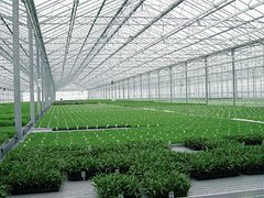 福建蔬菜大棚，報價合理的蔬菜大棚推薦