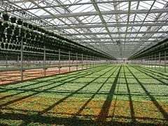 莆田玻璃溫室大棚——溫室大棚建造費(fèi)用