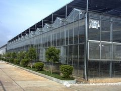 福州金线莲温室大棚：福建高性价栽培大棚