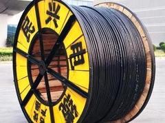 供應泉州地區大賣銅芯PVC絕緣電纜 上等銅芯PVC絕緣電纜