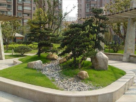 濟(jì)南大葉禎批發(fā)哪家好-【就來(lái)】永昌園林！專業(yè)放心的選擇！