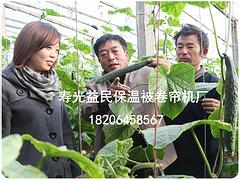 濰坊名聲好的連棟溫室供應商推薦，蔬菜大棚造價