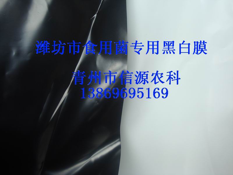 涵宇農業科技供應優質的蘋果上色反光膜——甘肅果樹反光膜