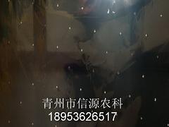 防雨水微孔蘋果反光膜圖片：品質(zhì)好的微孔蘋果反光膜價格