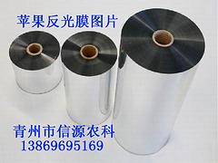 涵宇農(nóng)業(yè)科技——質(zhì)量{yl}的蘋果反光膜供應(yīng)商——濰坊市高亮度蘋果反光膜