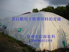 山東優良的青儲黑白膜供應商——青儲窖專用黑白膜尋求代理