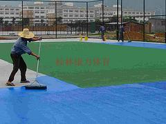 專業的塑膠運動場 廣西塑膠運動場