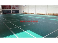 廣西羽毛球場——廣西羽毛球場是你的besz