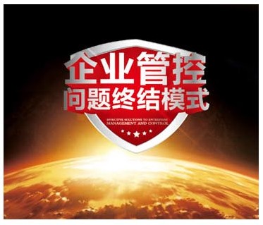 金隆行企业管理咨询--企业战略制定，zzy团队