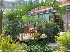 北京智能連棟溫室——山東可靠的智能連棟溫室建造