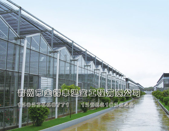 文絡(luò)式連棟溫室建造。文絡(luò)式連棟溫室價(jià)格【多難興邦】