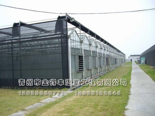文絡(luò)式連棟溫室建造。文絡(luò)式連棟溫室價(jià)格【多難興邦】