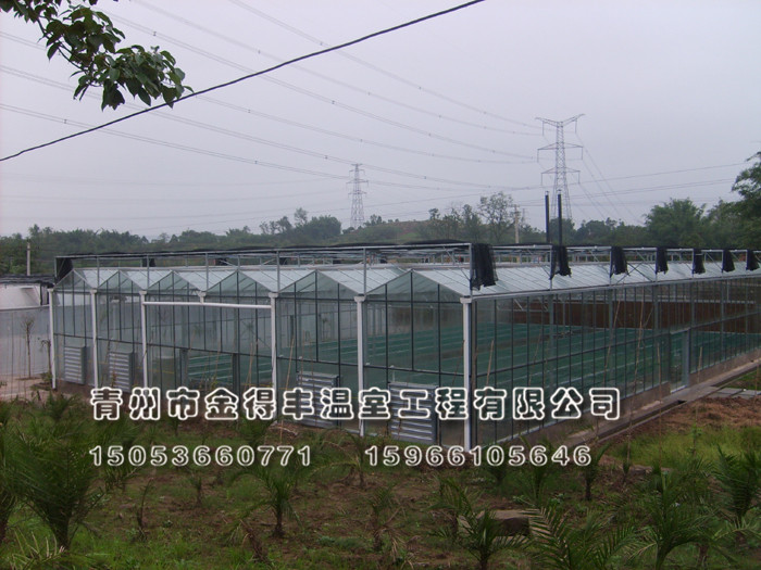 【品質(zhì)創(chuàng)新 跟蹤服務(wù)】紋絡(luò)式連棟溫室建設(shè)【專業(yè)連棟溫室建設(shè)】