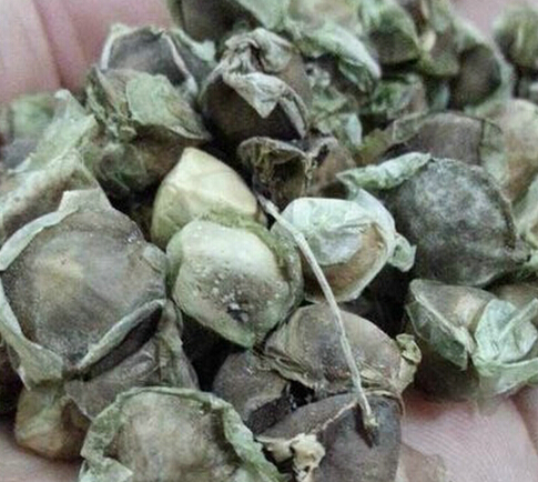 廈門好用的東革阿里在哪里——東革阿里專賣店