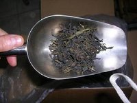 山東日照綠茶哪家好？價格是多少？濟南韻盛日照綠茶口味佳，好喝