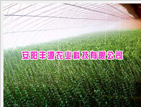 河南養(yǎng)殖大棚廠家-安陽(yáng)豐源農(nóng)業(yè)