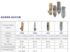 价位合理的安全阀，邦普睿CAT PUMPS安全阀等配件生产商