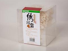 福州價格合理的繡球菌哪里買 廠家推薦繡球菌