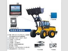 大量供應耐用的直視式電子吊秤——鄭州彩屏裝載機電子秤廠家