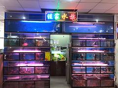 南通大型生態(tài)魚(yú)缸，特色的生態(tài)魚(yú)缸提供商—蘇州佳家水族館