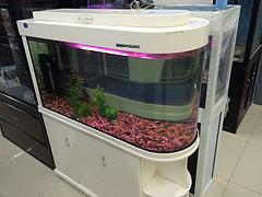 江蘇大型魚缸_精品魚缸制造公司