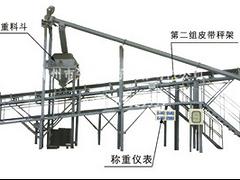 銷量好的皮帶秤由蘭州地區(qū)提供    ——定西皮帶秤