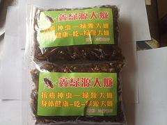 要買實用的美洲大蠊，鑫綠源特種養(yǎng)殖是besz|廣西美洲大蠊