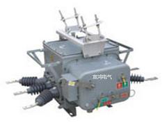 宣鴻電氣供應全省具有口碑的ZW20分界開關|安慶分界開關