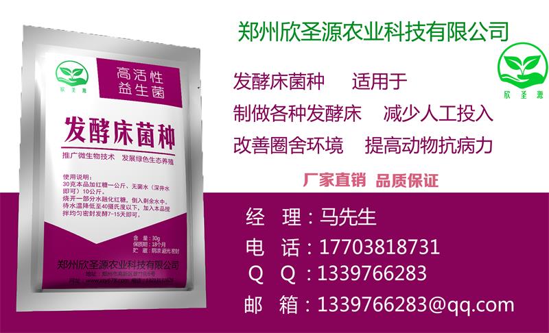 发酵床养鸡一平方养多少合适