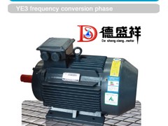 供應(yīng)鄭州地區(qū)專業(yè)制造ye3電機(jī)|的ye3系列電動(dòng)機(jī)