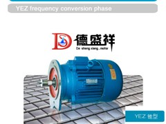 個性的低壓大功率電動機 鄭州德盛祥提供sqyz的低壓大功率電動機