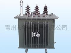 供應濰坊地區xjb高的電力變壓器——山東電力變壓器