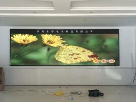 东营led显示屏哪家好，小伙伴纷纷为您推荐zyjl的产品