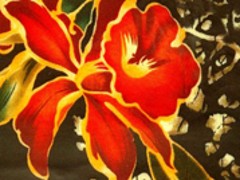 全棉布代理商——順達(dá)紡織廠提供有xjb的全棉坯布產(chǎn)品