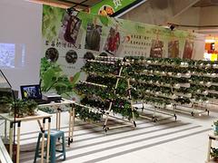 供應福州品鑒自動化超值的休閑椅子 簡易椅子供貨商