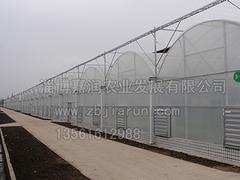 連棟溫室價格行情：連棟溫室工程建造