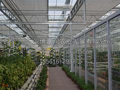 高質量的連棟溫室工程推薦：連棟溫室工程造價