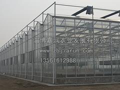 去哪找有口碑的溫室大棚建設：菏澤溫室大棚建造