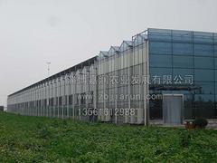 山東智能溫室造價(jià)：臨沂智能溫室建設(shè)