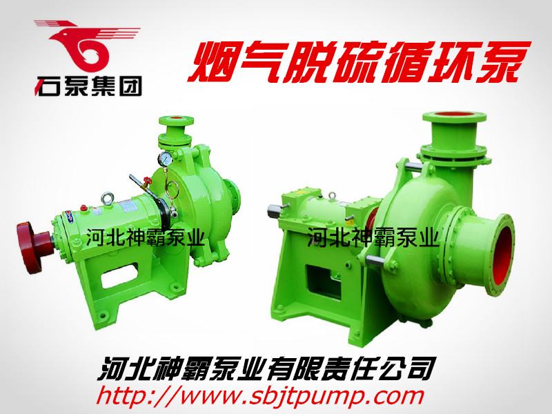 壓濾機(jī)入料渣漿泵圖片