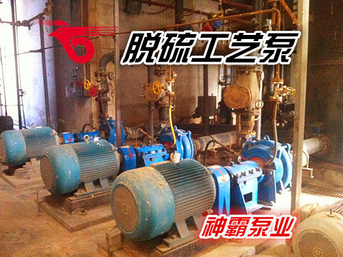 石家莊水泵廠尾礦干排渣漿泵