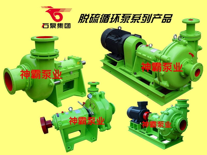 石家莊強(qiáng)大泵業(yè)脫硫泵
